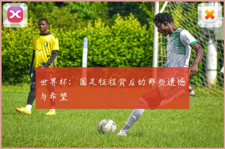 世界杯：国足征程背后的那些遗憾与希望