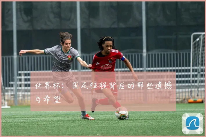 世界杯：国足征程背后的那些遗憾与希望